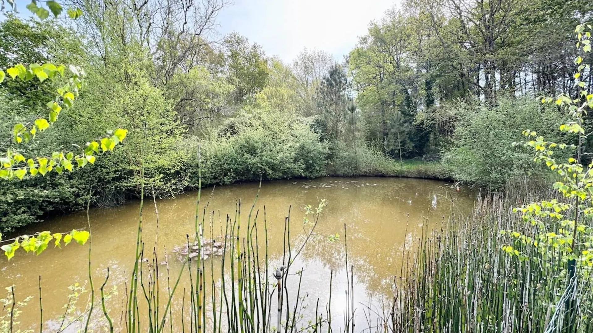 Villa Avec Piscine Chauffee - En Pleine Nature Sainte-Hélène Franciaország